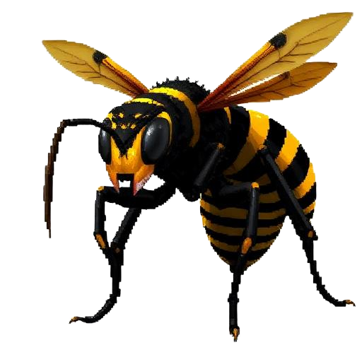 Wasp Queen