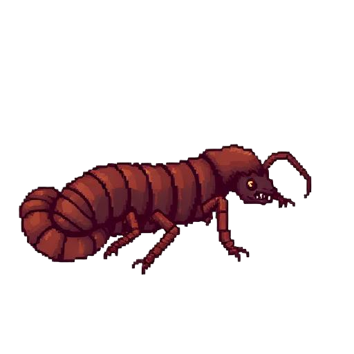 Centipede
