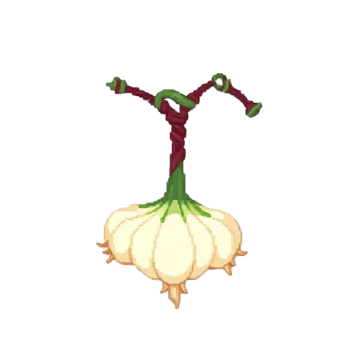 Garlic Necklace